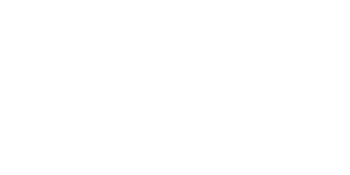 Logo White